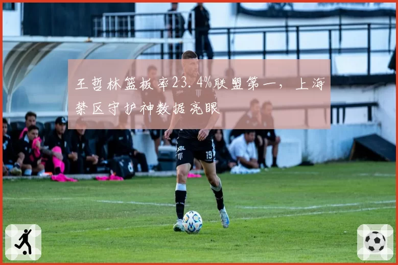 王哲林篮板率23.4%联盟第一,上海禁区守护神数据亮眼