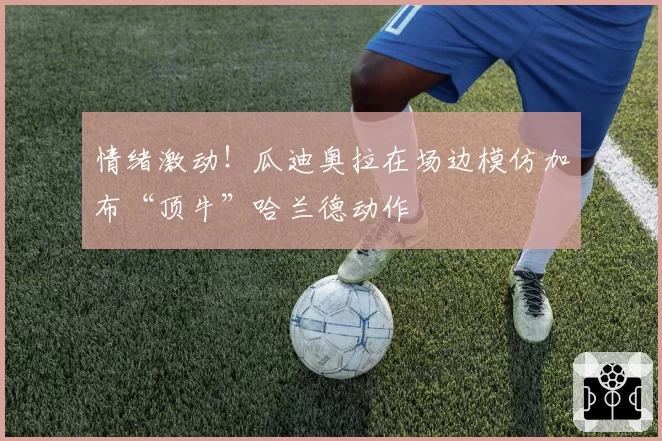 情绪激动！瓜迪奥拉在场边模仿加布“顶牛”哈兰德动作