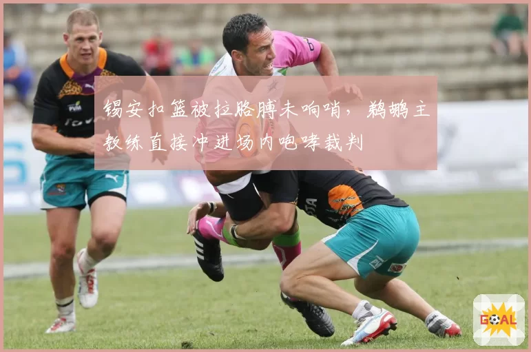 锡安扣篮被拉胳膊未响哨，鹈鹕主教练直接冲进场内咆哮裁判