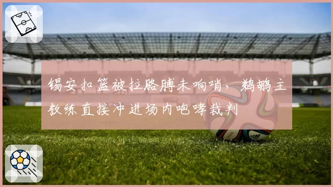 锡安扣篮被拉胳膊未响哨，鹈鹕主教练直接冲进场内咆哮裁判